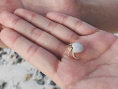 -塞班肯辛顿酒店Kensington Hotel Saipan