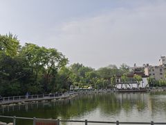 -莲湖公园