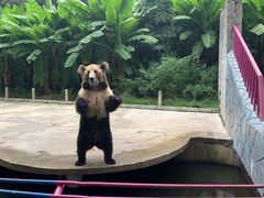 -贵州森林野生动物园