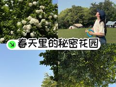-蠡湖大桥公园
