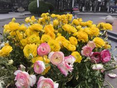 -苏州公园(双塔街道)