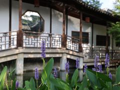 -惠山古镇·寄畅园