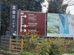 -白鹭湾湿地公园