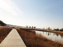 -野鸭湖国家湿地公园