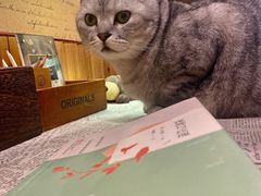 -隅cafe(傅厚岗店)