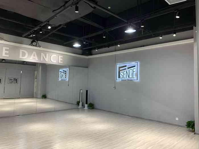 f-sence舞蹈工作室-"【课程】街舞 拉丁舞太好了,是朋友推荐.