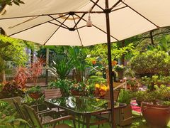 -山水茶艺馆·点心粤菜·30年老字号