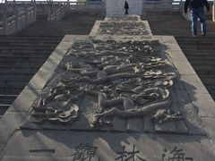 -原山国家森林公园