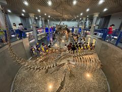 -国家自然博物馆