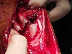 -骐奇宠物诊疗中心(南亭公路店)