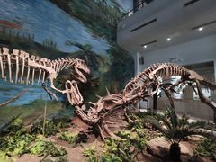 -自贡恐龙博物馆