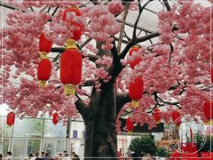 -老磨油饼(高陵店)
