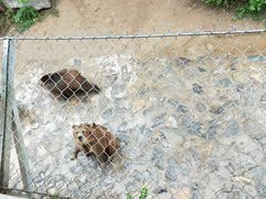 -石家庄市动物园