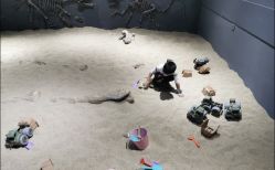 -恐龙探索乐园(磁器口店)