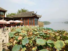 -湘湖大院(越王路店)
