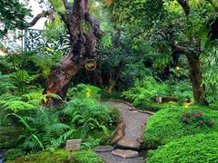 -Chom Cafe and Restaurant