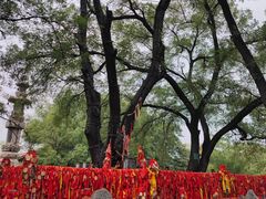 -大槐树寻根祭祖园