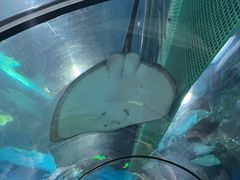 -福州罗源湾海洋世界旅游区
