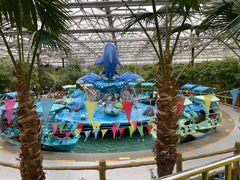 -南宫五洲植物乐园