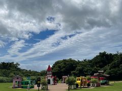 -济州森林小火车生态公园