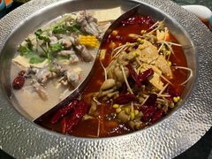 -麻田会 ·鲜活现烹·牛蛙火锅(珠江新城维家思广场店)