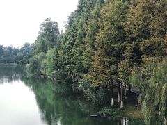 -常德桃花源景区