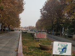 -裕华世纪公园