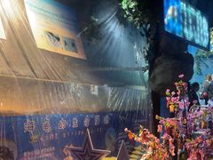 -烟台海昌鲸鲨海洋公园