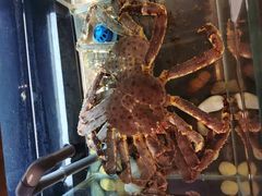 -璞御·海鲜·雪花牛肉局(宾水西道店)