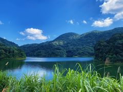 -广州市石门国家森林公园