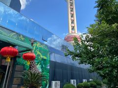 -上海大自然野生昆虫馆(东方明珠·爬宠昆虫探索中心)