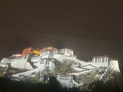 -拉萨瑞吉酒店-秀餐厅