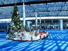 -西沃古尔·拉姆古兰爵士国际机场