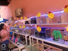-中环花鸟鱼虫市场