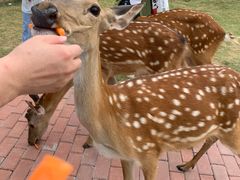 -南京金牛湖风景区