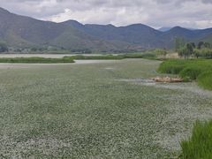 -泸沽湖国家级风景名胜区走婚桥