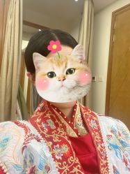 -金夫人婚纱摄影(总店)