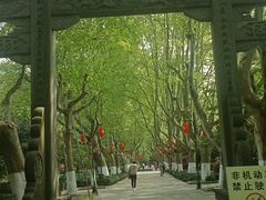 -杭州黄龙洞