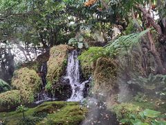 -Chom Cafe and Restaurant