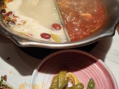 -九鼎轩脆毛肚火锅(三钢里店)