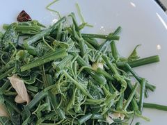 -全聚德(蓝山店)