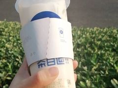 茉莉奶绿-茶百道(惠新东街店)