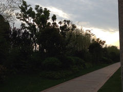 iphone_upload_pic-上海崇明金茂凯悦酒店