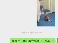 -佩兹宠物医院肿瘤专科·眼科·牙科(黄浦店)