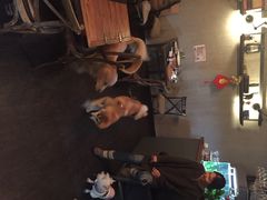 百好乐比萨-百好乐宠物友好餐厅(朝外大街店)