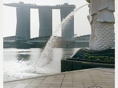 -鱼尾狮公园