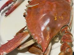 -北塘海鲜·天津菜(大光明桥旗舰店)