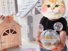 -ZOZO's昌左左精致甜品设计(新北店)
