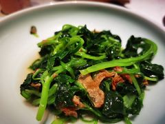 邹山腐皮鸡毛菜-竹外桃花·江南小酒馆(SKP·S店)