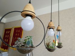 -苗方清颜•痘肌问题肌专研